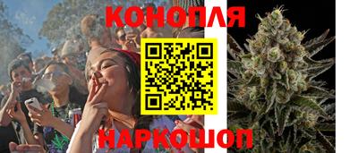 прущие грибы Ликино-Дулёво
