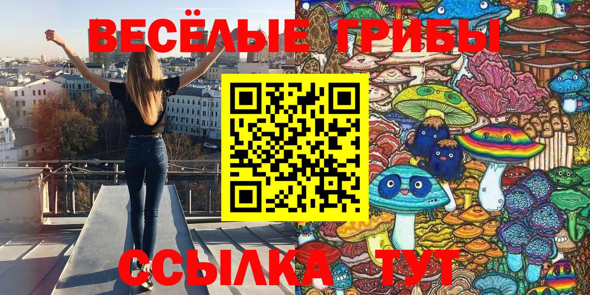 Галлюциногенные грибы Psilocybine cubensis Ижевск